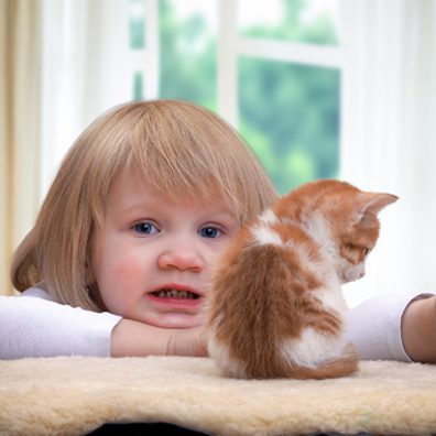 Little girl with kitten gets ashtma and is sent to the emergency room